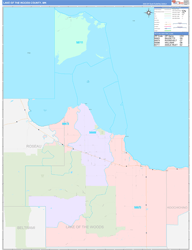 Lake-Of-The-Woods Color Cast<br>Wall Map